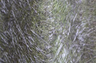 Wainhouse Corner fibreglass roof work